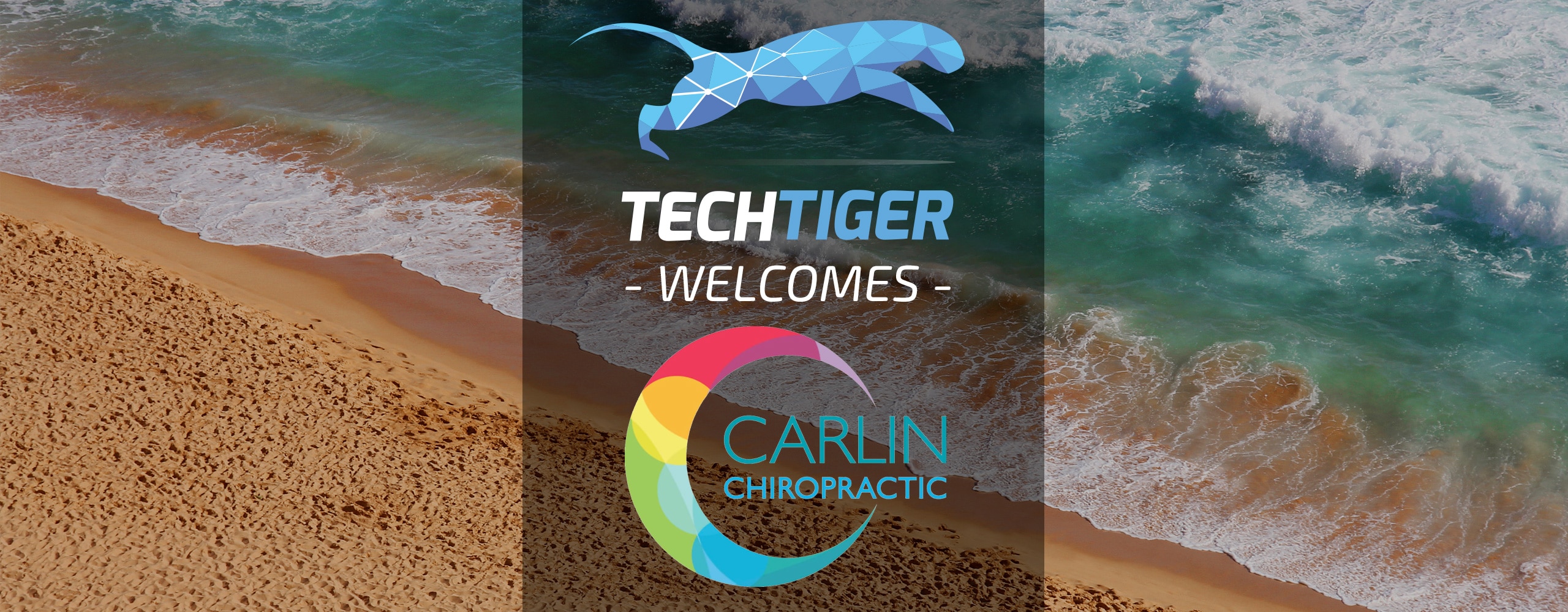 TechTiger welcomes Carlin Chiropractic